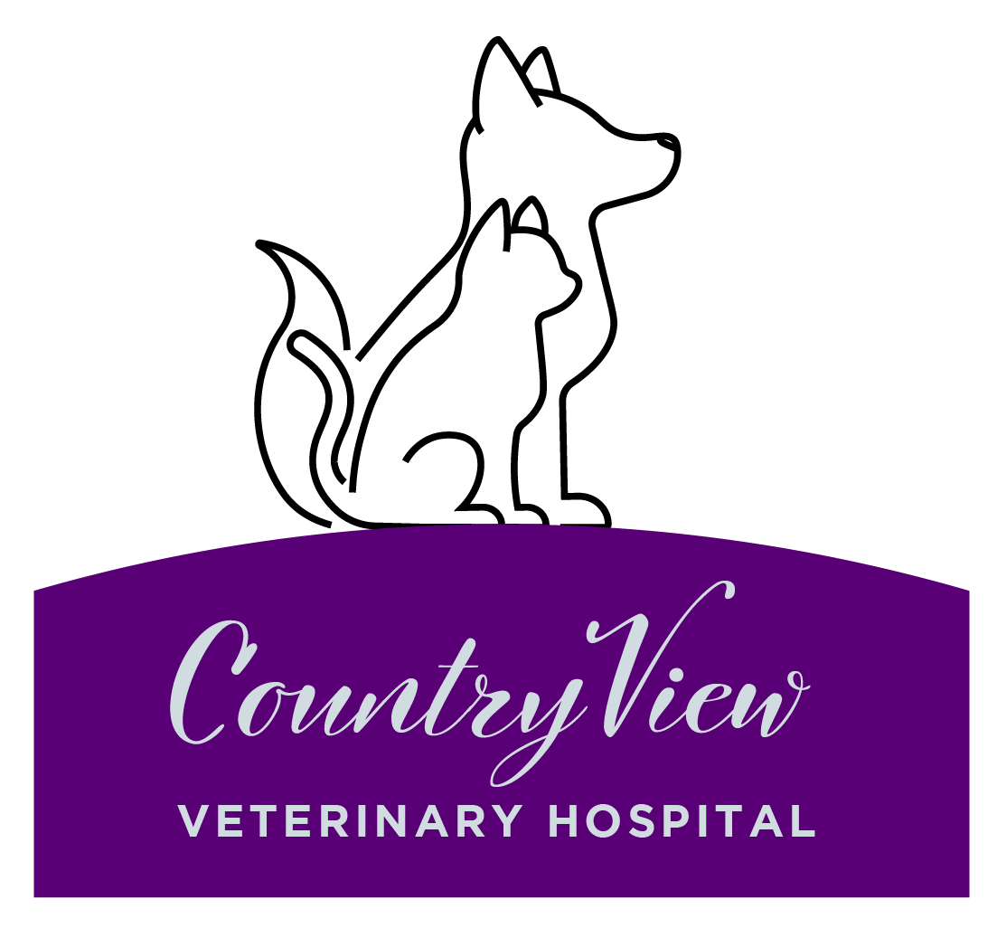 Country veterinarian hot sale